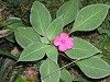DSCN0222s.png