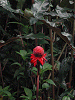 DSCN0228as.png