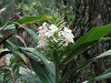 P1010071s.png