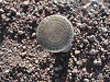 P1010074s.png