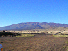 P1010082s.png
